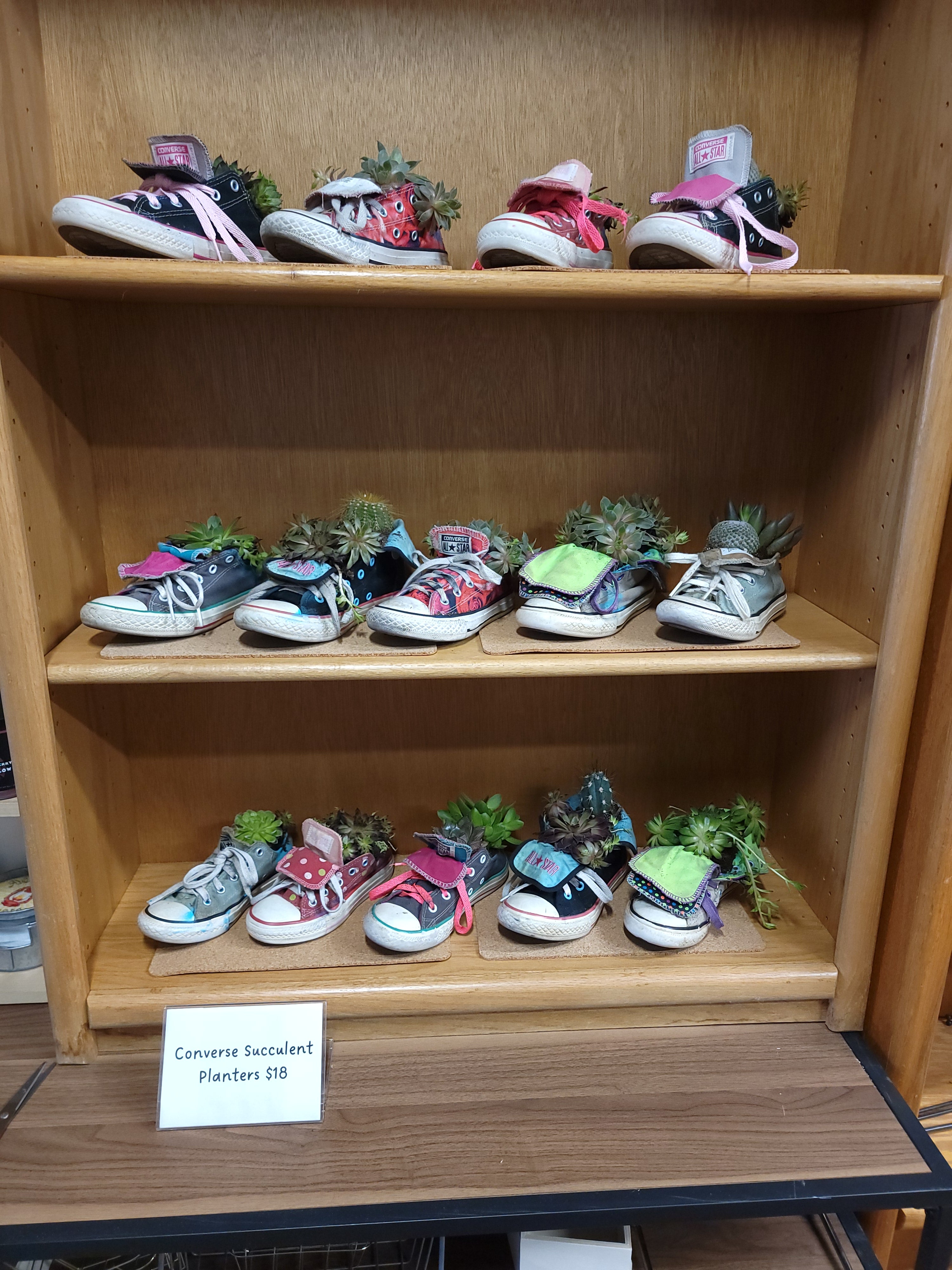 In Store Converse Succulent Planter | Westside Artwerks